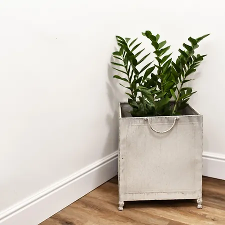 Vittoria Luxury House Oda ve Kahvaltı Lecce